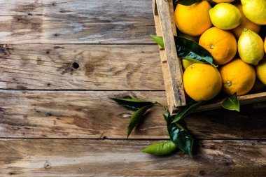 Taze narenciye limon ve portakal yaprakları ile kutu. Üstten görünüm. Hasat kavramı, kopya alanı