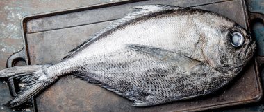 Gıda çiğ taze balık reineta, otlar, olil ve limon ile arka plan. Üstten görünüm.