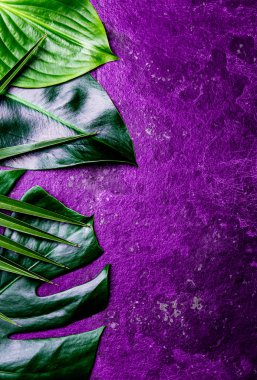 Yaratıcı tropikal yaprak arka plan. Trandy tropikal ultra violet arduvaz arka plan üzerinde - 2018 yılın renk bırakır. Üstten görünüm, kopya alanı.
