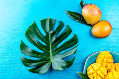 Tropikal kavramı, tropikal yaprak ve mango mavi zemin üzerine.