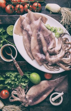 Korece Barbekü kalamar yemek pişirmek için malzemelerle beyaz plaka üzerinde ham kalamar kalamar. Üstten görünüm