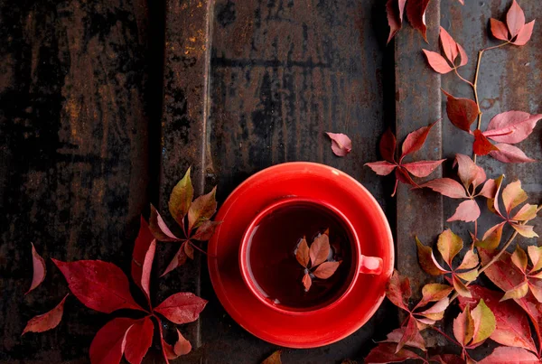 Fundo de outono com xícara de chá e folhas vermelhas no fundo escuro. Vista superior, espaço de cópia — Fotografia de Stock