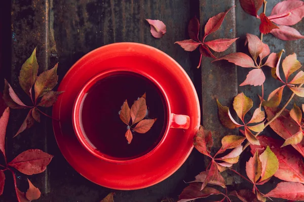 Autumn background with cup of tea and red leaves on dark background. Top view, copy space — Stock Photo, Image