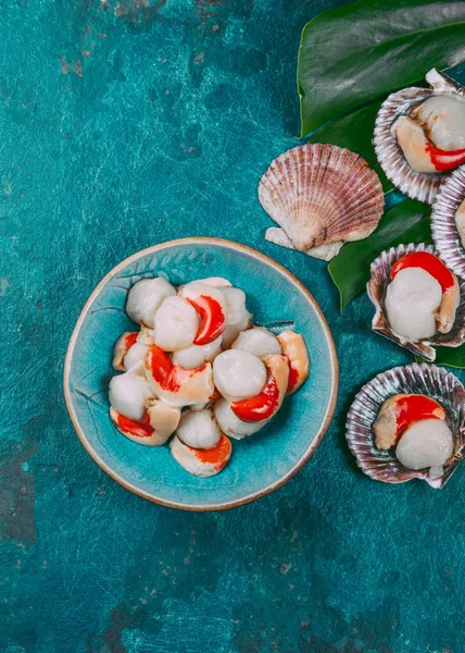 Raw fresh seafood shellfish scallops on blue background — Stock Photo, Image