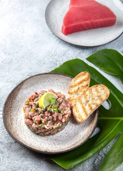 Poisson thon TARTAR tartare sur plaque grise — Photo