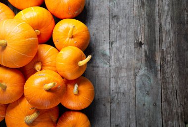 Balkabaklı metin için sonbahar arkaplanı. Üst Manzara. Boşluğu kopyala