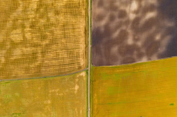 Fotografia aérea de drone vista superior de uma terra com campos verdes semeados no campo — Fotografia de Stock