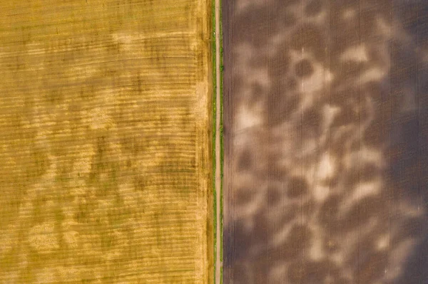 Fotografia aérea de drone vista superior de uma terra com campos verdes semeados no campo — Fotografia de Stock