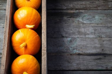 Sonbahar kabakları ile sonbahar bileşimi, kopyalama alanı