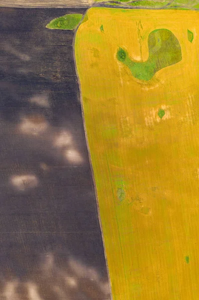 Fotografia aérea de drone vista superior de uma terra com campos verdes semeados no campo — Fotografia de Stock
