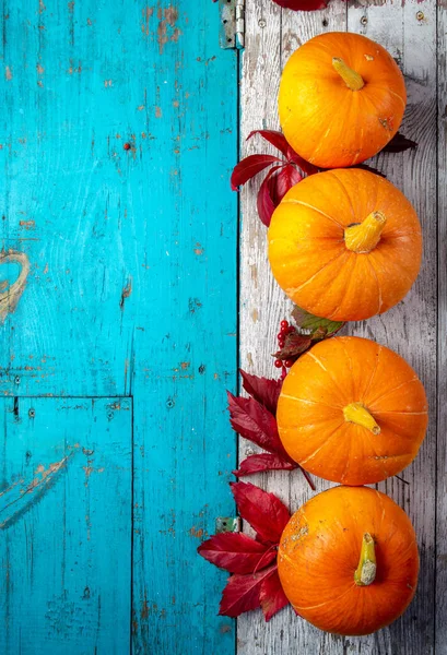 Composición de otoño. Calabazas sobre fondo azul blanco. Vista superior —  Fotos de Stock