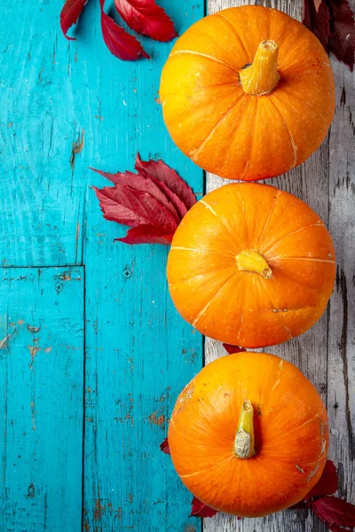 Composición de otoño. Calabazas sobre fondo azul blanco. Vista superior —  Fotos de Stock