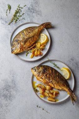 Izgara deniz çerezi ya da gri tabakta dorada. Gri arkaplan