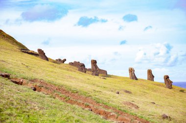 Paskalya Adası 'ndaki taş heykeller Moai Rapa Nui