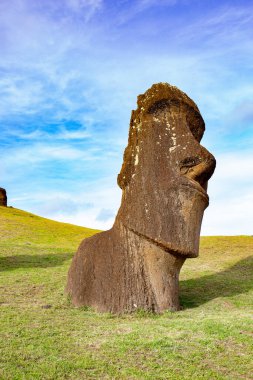 Paskalya Adası 'ndaki taş heykeller Moai Rapa Nui