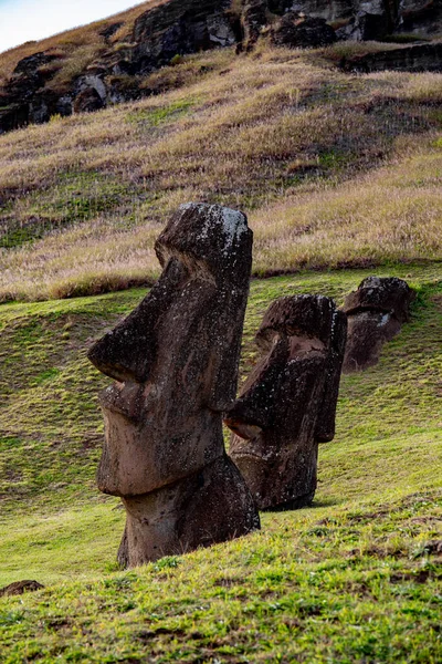Πέτρινα αγάλματα Moai στο νησί του Πάσχα Rapa Nui — Φωτογραφία Αρχείου