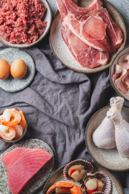 Fotokopi alanı olan hayvansal protein kaynakları. Etçil diyet konsepti. Et, peynir, balık, yumurta ve deniz ürünleri.