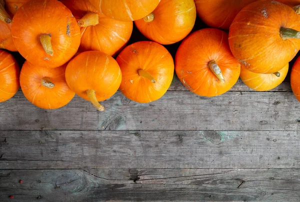 Hösten bakgrund för text med pumpor. Högst upp. Kopiera utrymme — Stockfoto