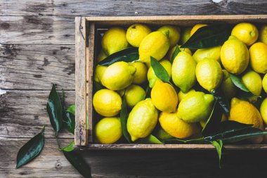 Bir kutu taze limon. Üst görünüm, alanı kopyala.