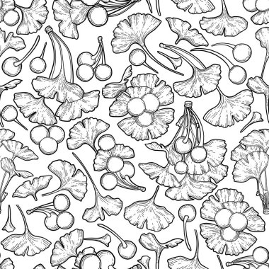 Grafik ginkgo biloba dalları