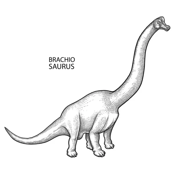 Dinosaurio gráfico realista — Vector de stock