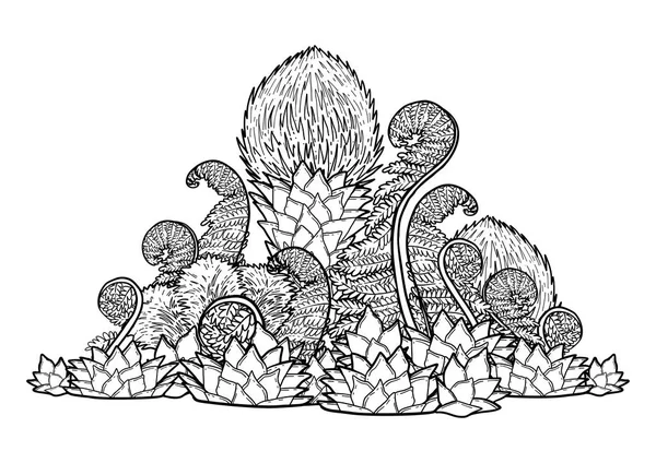 Графические доисторические растения — стоковый вектор