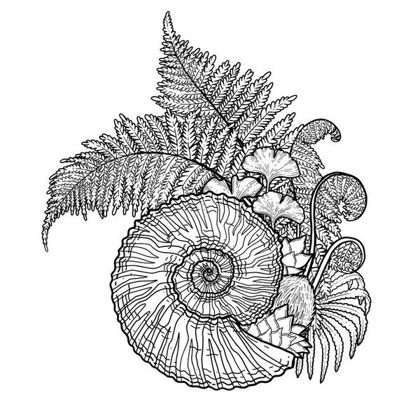 Förhistoriska grafisk seashell och fern grenar — Stock vektor