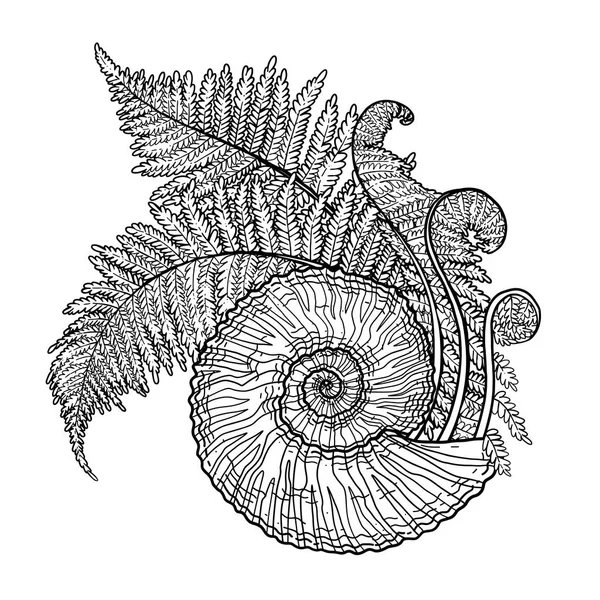 Coquillages graphiques préhistoriques et branches de fougère — Image vectorielle