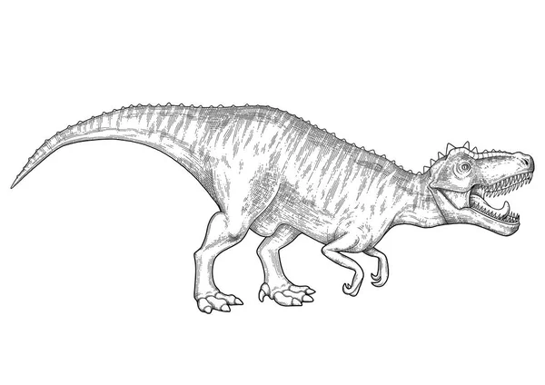 Dinosauro grafico realistico — Vettoriale Stock