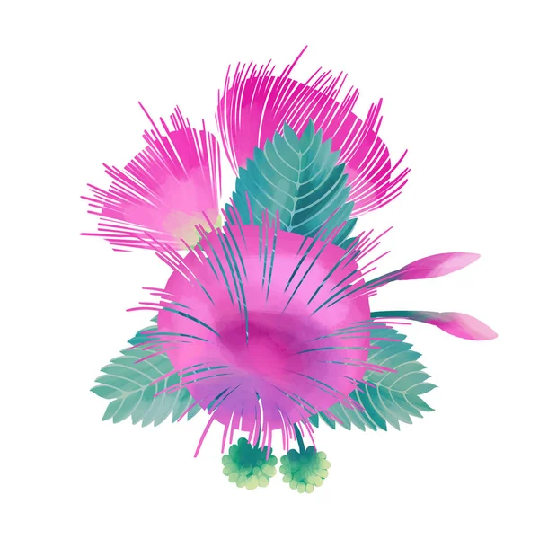 Παστέλ χρωματιστό σχέδιο με λουλούδια Albizia — Φωτογραφία Αρχείου