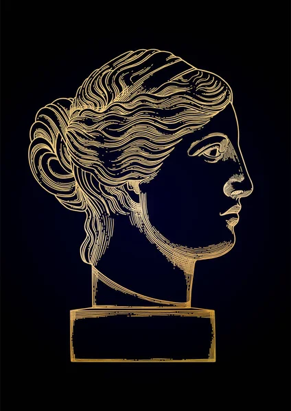 Venus de Milo escultura de cabeza dibujada en técnica de grabado — Vector de stock