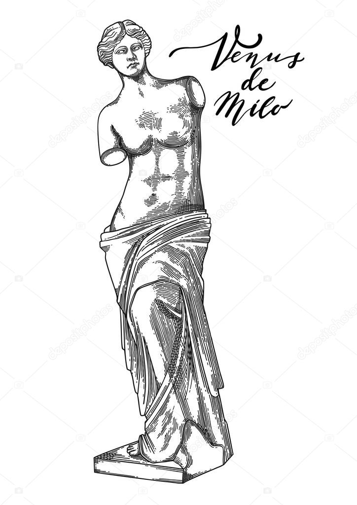 Venus de Milo sculpture drawn in engraving technique