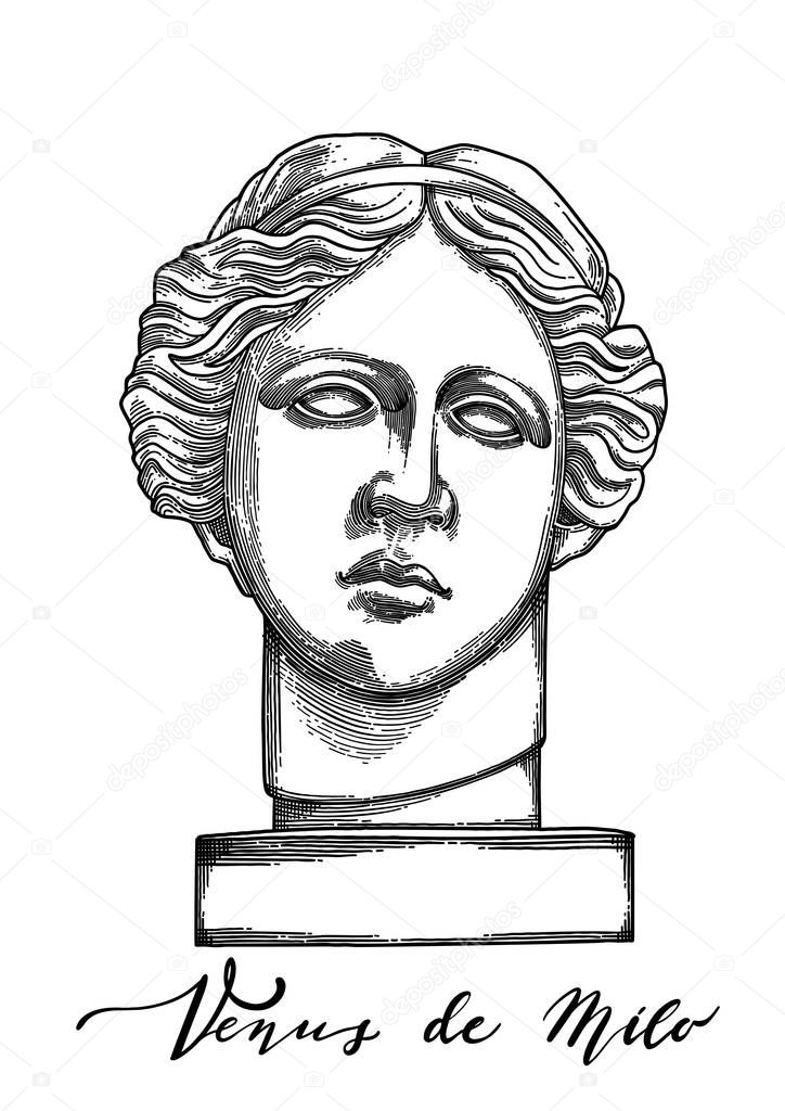 Venus de Milo head sculpture drawn in engraving technique