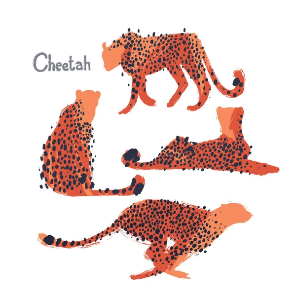 Graphic collection of cheetahs drawn with rough brush — Stock Vector