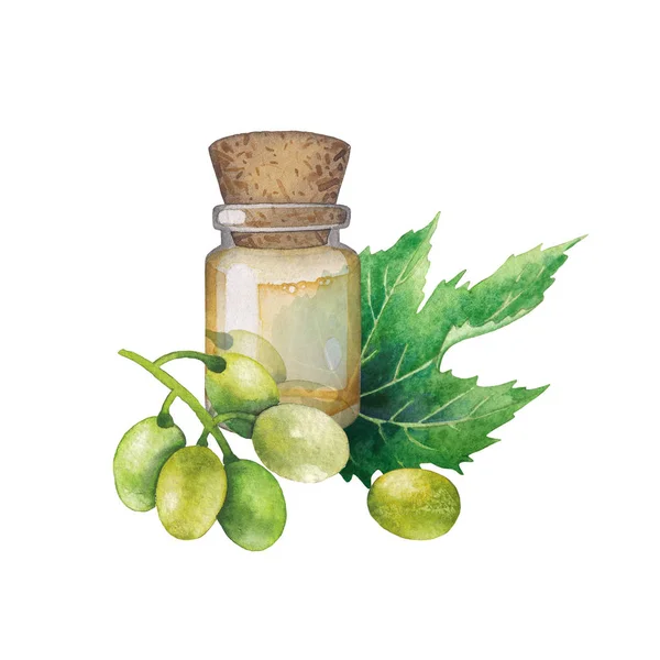 Watercolor bottle of essential oil made of grape seed — Stock Photo, Image