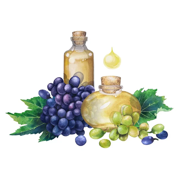 Watercolor bottle of essential oil made of grape seed — Stock Photo, Image