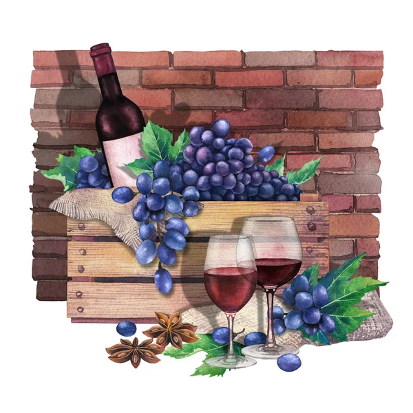 Copos de vinho tinto aquarela, garrafa na caixa de uvas azuis — Fotografia de Stock