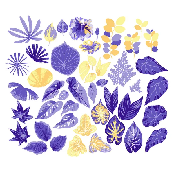 Vector collection of different exotic leaves drawn in the technique of rough brush — Stock Vector