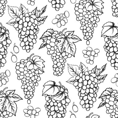 Grafik Dikişsiz desen vektör üzüm demet