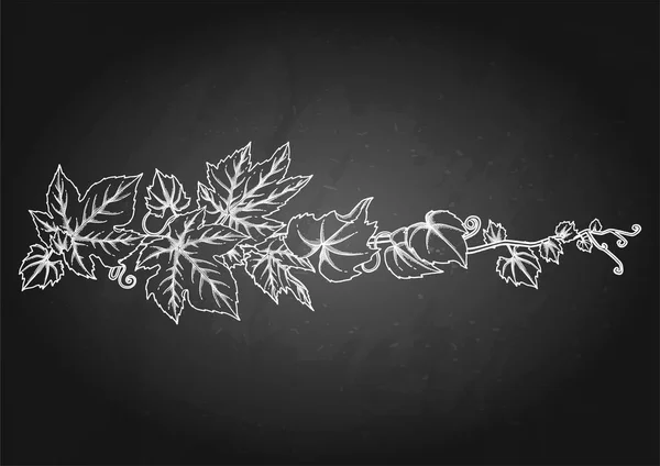 ぶどうの葉中要素のグラフィック枝 — ストックベクタ