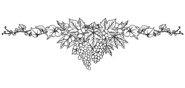 Grafiki kiście winogron zwisające z gałęzi — Wektor stockowy