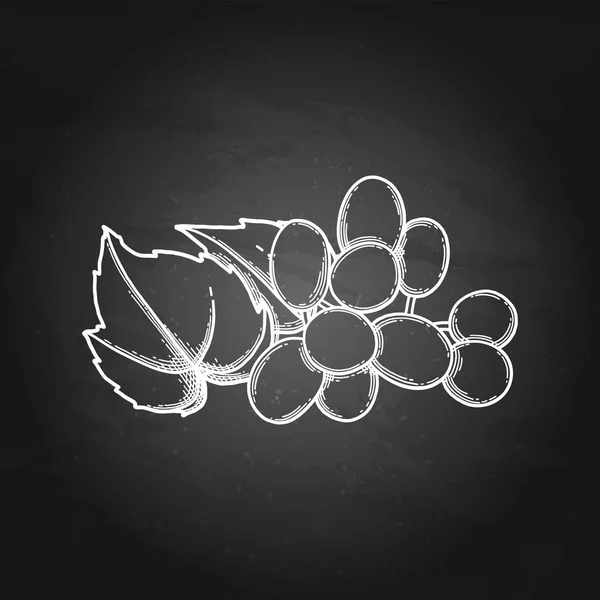 Graphisme de grappes de raisins accrochées à la branche — Image vectorielle