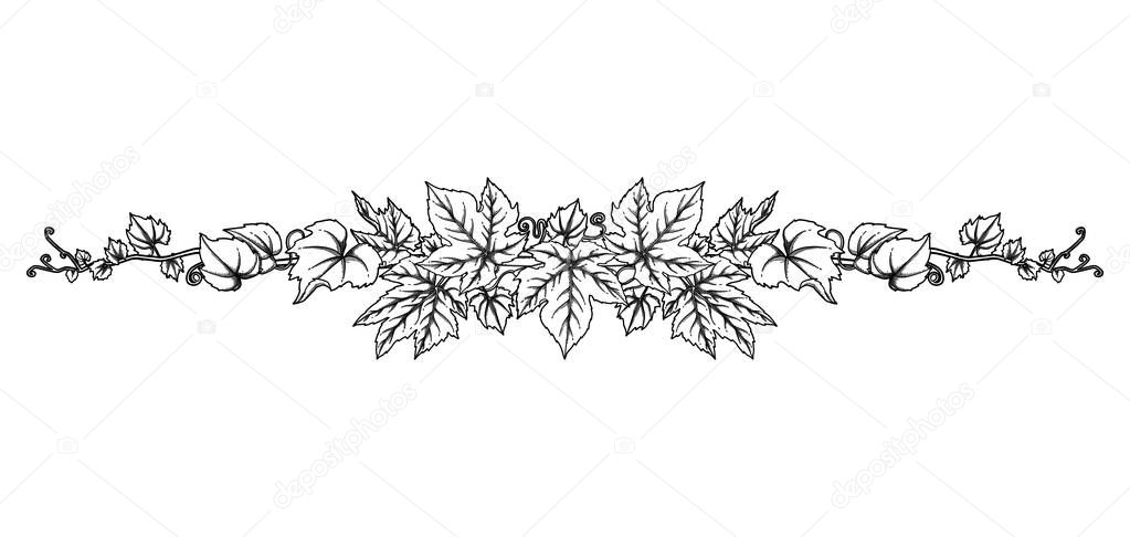 Graphic branch with grape leaves and curly elements