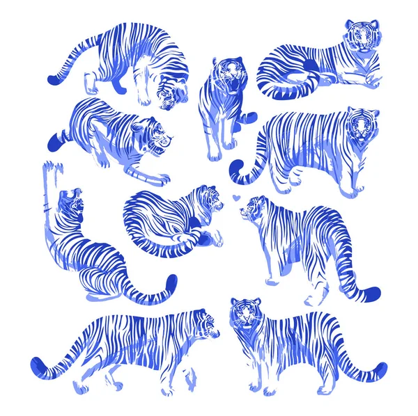 Graphic συλλογή από τίγρεις σε διαφορετικές πόζες. — Διανυσματικό Αρχείο