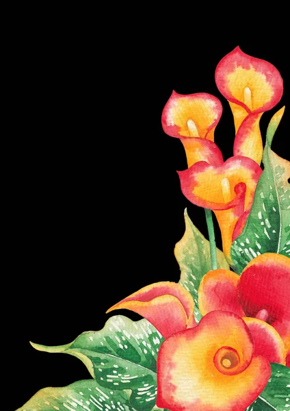 Watercolor leaves and Calla Lily flowers in yellow and red colors — Stock Photo, Image