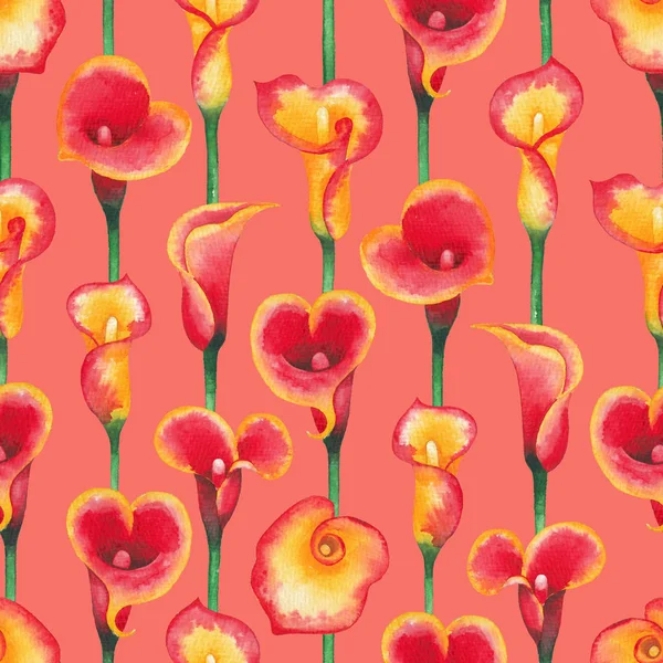 Calla Lily çiçek sarı ve kırmızı renklerde suluboya desen — Stok fotoğraf