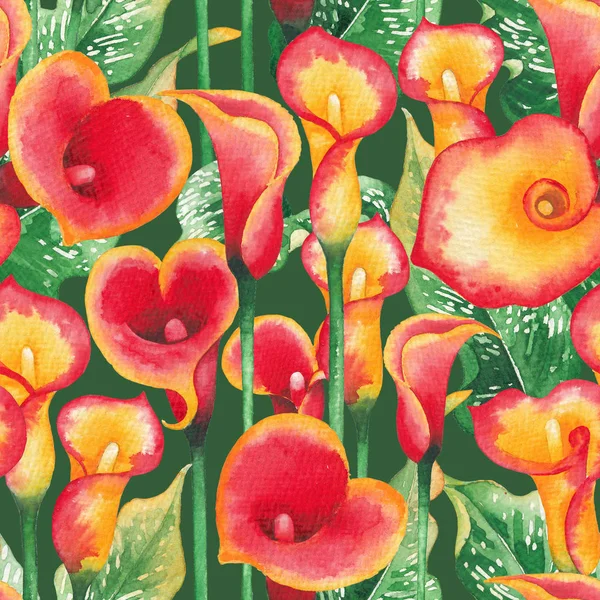 Aquarellmuster von Calla-Lilienblüten in gelben und roten Farben — Stockfoto