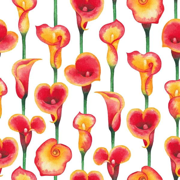 Padrão de aquarela de flores Calla Lily em cores amarelas e vermelhas — Fotografia de Stock