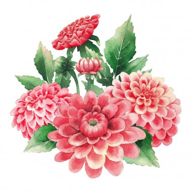 Dahlias çiçekler ve yaprakları suluboya buket
