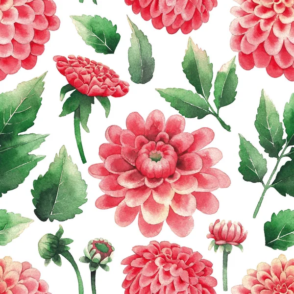 달리아 꽃과 잎의 수채화 패턴 — 스톡 사진